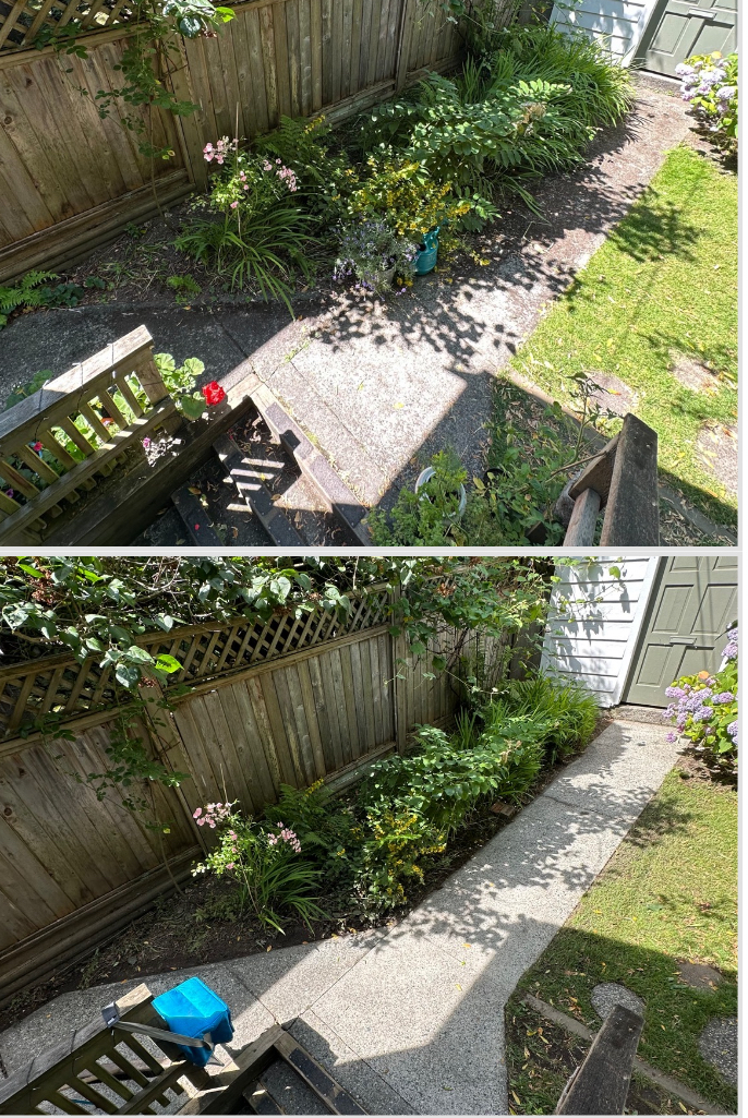 Residential Patio Cleaning