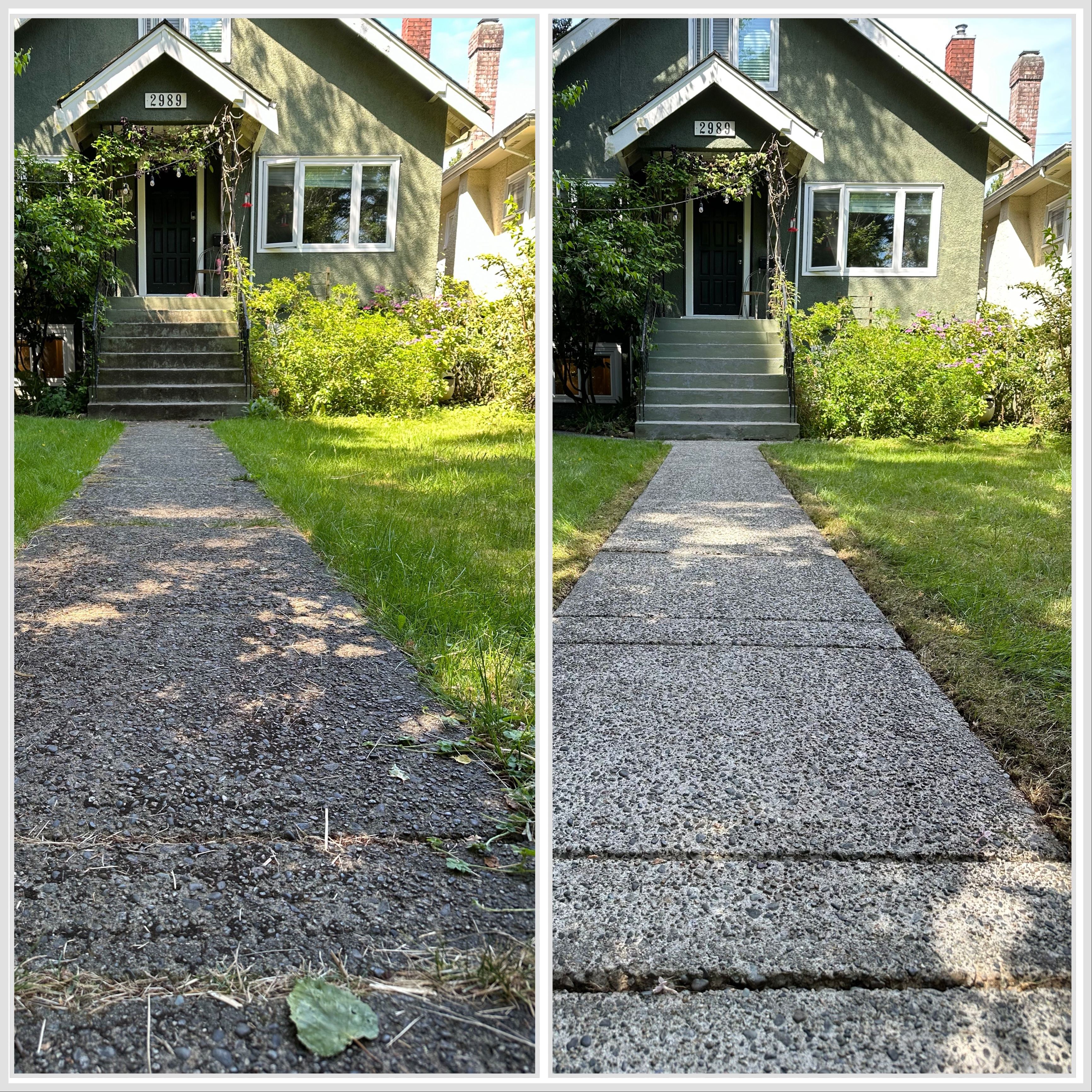 Residential Walkway Cleaning